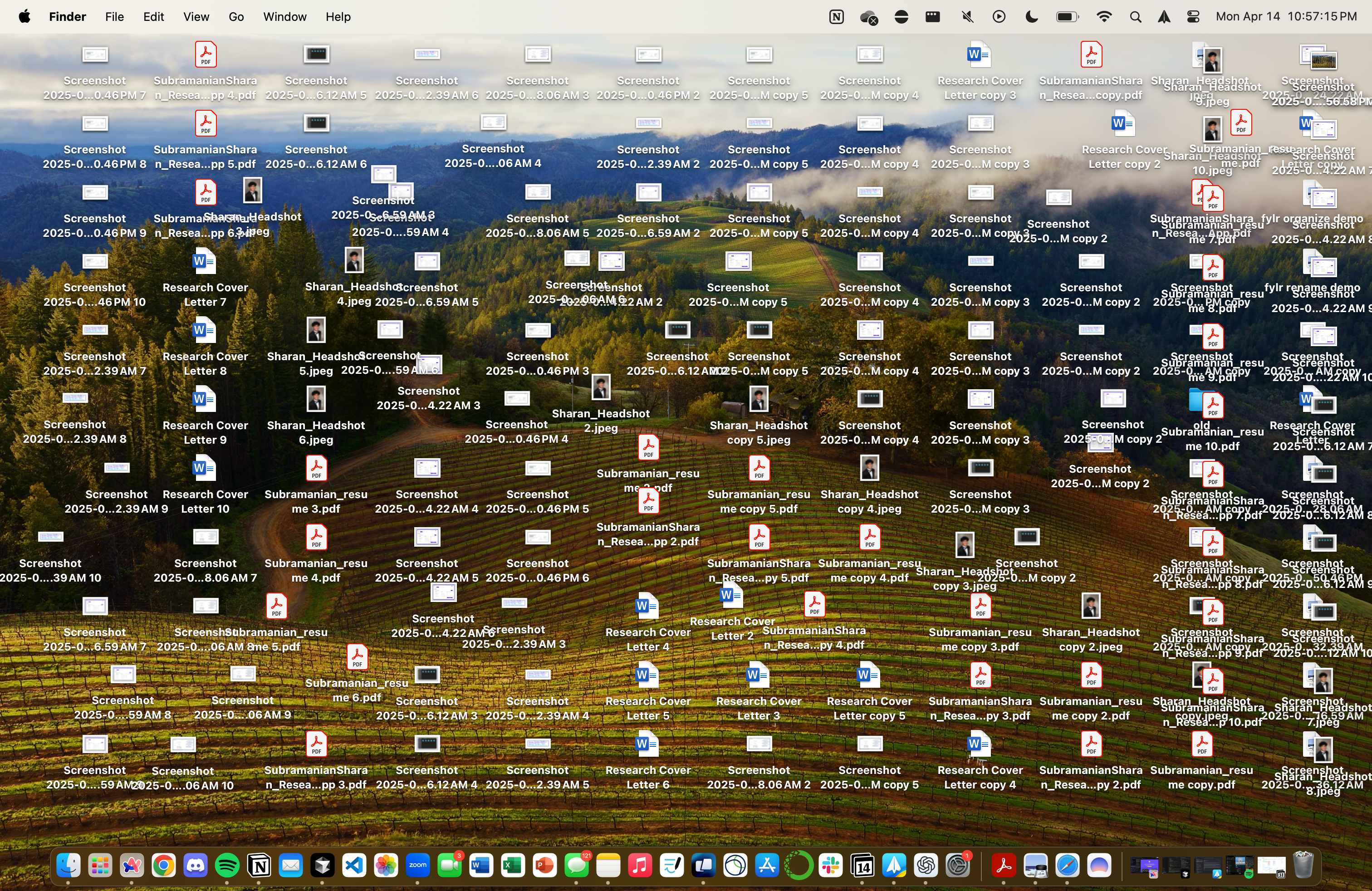 Cluttered desktop with dozens of unorganized files